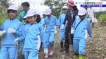 児童が森林管理署の署員に植え方の指導を受けながら植樹を行う 岩手・宮古市|TBS NEWS DIG