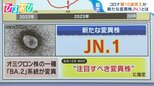 新型コロナ第10波突入か 新たな変異株「JN.1」とは?インフルB型も同時流行【ひるおび】|TBS NEWS DIG