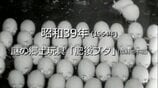 .謎の郷土玩具「肥後ブタ」【昭和39年・1964年】～RKKニュースミュージアム～ 熊本　|　熊本のニュース｜RKK NEWS｜RKK熊本放送