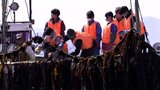 中学生がワカメ刈り取り作業を体験　地元の主要産業に理解を深める　岩手・宮古市|TBS NEWS DIG