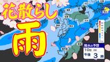 【花散らしの雨】九州 天気下り坂 あす明け方から雨 雷が鳴るところも【雨はいつからいつまで?】雨・発雷確率のシミュレーション10日(木)福岡・佐賀・長崎・大分・熊本・宮崎・鹿児島|TBS NEWS DIG