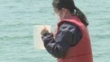 海水浴場の水質調査実施 結果は大分県のホームページで5月29日に公表 | 大分のニュース|OBS NEWS|大分放送