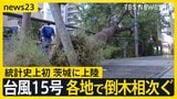 “逆走台風”15号 茨城県に初上陸 各地で倒木相次ぐ お盆期間中の空の便にも影響【news23】|TBS NEWS DIG