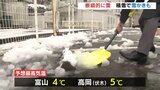 気温上がらず真冬のような１日に 初雪の翌日の富山市内　|　富山のニュース｜天気・防災｜チューリップテレビ