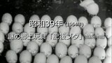 .謎の郷土玩具「肥後ブタ」【昭和39年・1964年】～RKKニュースミュージアム～ 熊本|TBS NEWS DIG