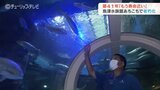 「もう寿命…」老朽化でピンチ 国内最古の魚津水族館 建て替え問題は 富山・魚津市|TBS NEWS DIG