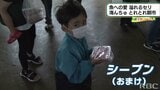 魚への愛溢れる朝市 南城市【わがまちLink41】 | 沖縄のニュース|RBC 琉球放送