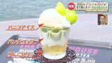 夏休みもラストスパート　今からでも間に合う穴場中の穴場！『宇土半島』へおでかけしてみませんか？　|　熊本のニュース｜RKK NEWS｜RKK熊本放送