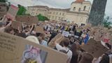 ウクライナ軍の総司令官を解任 国民に人気の前国防相更迭に対するデモ拡大受け|TBS NEWS DIG