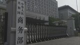 中国 台湾への関税優遇一部停止で追加措置検討 総統選前にさらなる圧力か|TBS NEWS DIG