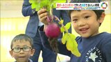 段ボールコンポストの堆肥で自分たちが育てた野菜 給食でSDGs | 新潟のニュース・天気|BSN NEWS|BSN新潟放送