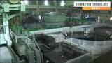 東北電力女川原子力発電所2号機 原子炉に核燃料の集合体を入れる「燃料装荷」作業が終了 11月頃の再稼働を目指す 宮城|TBS NEWS DIG