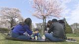 「サクラ最高!」約200本のソメイヨシノ満開、お花見楽しむ人たちも いわき市松ヶ岡公園 福島|TBS NEWS DIG