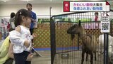 涼しい室内で動物と触れあい　ファボーレで「体感ふれい動物園」　ヘビとの記念撮影や世界のネコ　富山　|　富山のニュース｜天気・防災｜チューリップテレビ