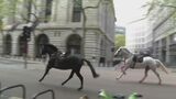 ロンドンの街中に“馬”？！　騎兵隊の馬が訓練中に逃走　けが人も|TBS NEWS DIG
