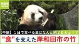 【中継】アドベンチャーワールドのパンダの大好物「岸和田の竹」 荒廃した竹林に悩む岸和田市とアドベンチャーワールドが"マッチング"【新人アナ・上田芹莉のパンダびと】|TBS NEWS DIG
