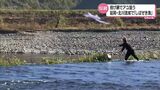 アユを網を投げてとる伝統漁法「しばぜき漁」延岡市北川町で10日まで | MRTニュース | MRT宮崎放送