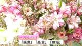 ユリ出荷量は全国2位、近年は“八重咲き”や“無花粉タイプ”も栽培⋯花言葉は「純潔、高貴、無垢」【番組スタジオに高知の花】|TBS NEWS DIG