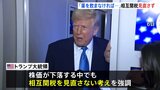 「人々は関税はとても美しいものだと気づくだろう!」トランプ政権の「相互関税」で株価が世界的に急落も、政策を見直さない考えを強調|TBS NEWS DIG