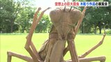 「虫かごに入った感じ」巨大な空想昆虫ずらり 広島・三原市で木彫展|TBS NEWS DIG