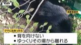 県が「クマ出没注意報」発令 クマ目撃件数が去年の約2倍に(山形) | 山形のニュース│TUYテレビユー山形