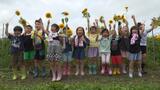 「夏が来るぞー！」園児たちヒマワリの刈り取り体験　青森県田舎館村　|　青森のニュース│ATV NEWS│青森テレビ