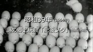 .謎の郷土玩具「肥後ブタ」【昭和39年・1964年】～RKKニュースミュージアム～ 熊本　|　熊本のニュース｜RKK NEWS｜RKK熊本放送
