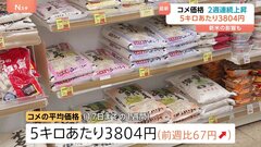 【速報】コメ平均価格「5キロ3804円」に　前週より67円値上がり　今月17日までの1週間| TBS CROSS DIG with Bloomberg