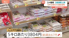 【速報】コメ平均価格「5キロ3804円」に 前週より67円値上がり 今月17日までの1週間|TBS NEWS DIG