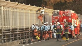 八木山橋で20代とみられる男性が転落 救助も会話できない状態 仙台|TBS NEWS DIG