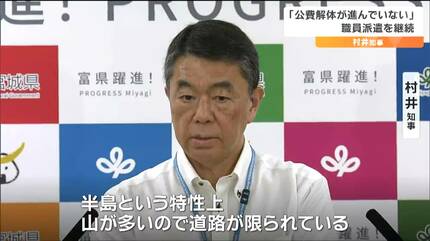 ぴろんぬ様 確認用 賑やかな