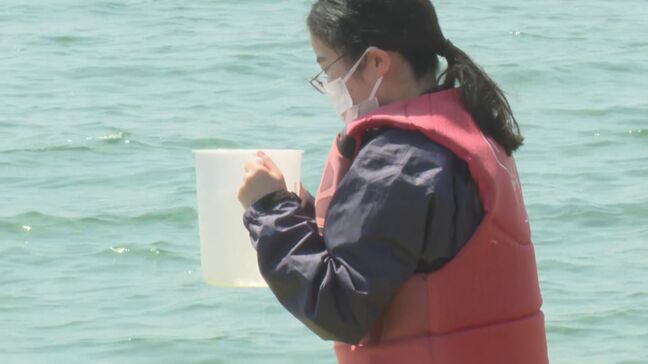 海水浴場の水質調査実施 結果は大分県のホームページで5月29日に公表|TBS NEWS DIG