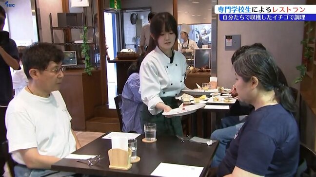 専門学校生が自分たちで収穫した「盛岡夏いちご」を使ったランチを提供　岩手|TBS NEWS DIG