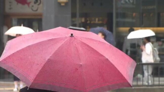 四国地方が梅雨入り 愛媛県内全域で警報級の雨に注意|TBS NEWS DIG