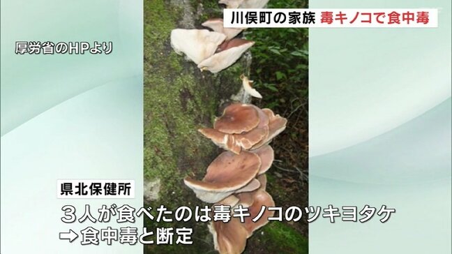 もらったキノコをバター炒めにしたら…毒キノコで食中毒　3人が下痢や嘔吐　福島|TBS NEWS DIG