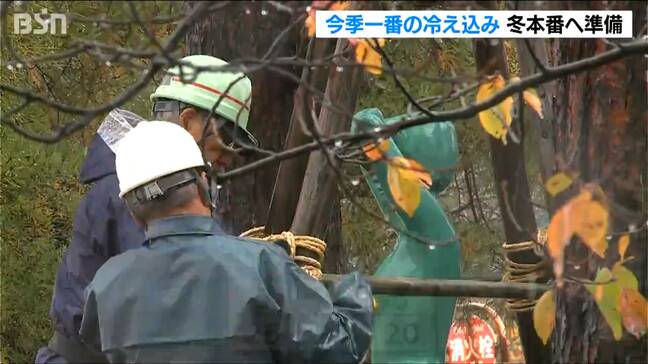 山沿いで最大25cmの降雪予想　高田城址公園ではブロンズ像の“冬囲い” 新潟県内は12月中旬の冷え込みに|TBS NEWS DIG