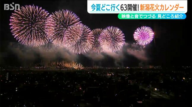 どこいく？『花火大会カレンダー』県内では63開催　新潟|TBS NEWS DIG
