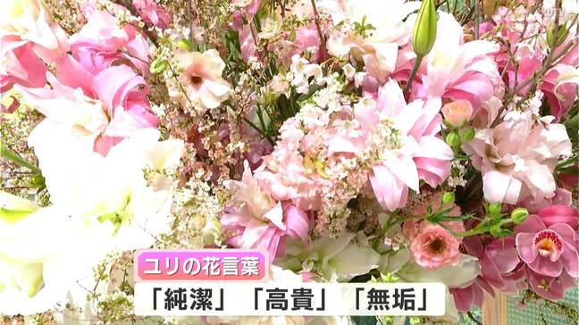 ユリ出荷量は全国2位、近年は“八重咲き”や“無花粉タイプ”も栽培⋯花言葉は「純潔、高貴、無垢」【番組スタジオに高知の花】|TBS NEWS DIG