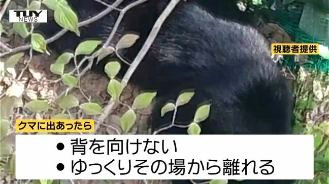 県が「クマ出没注意報」発令　クマ目撃件数が去年の約2倍に（山形）|TBS NEWS DIG