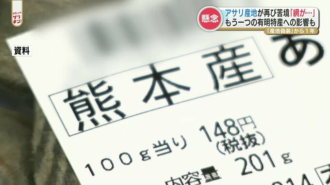 「アサリ産地偽装を一掃できた」はずなのに再び苦境　寒波に伴うシケの影響が影を落とす　|TBS NEWS DIG
