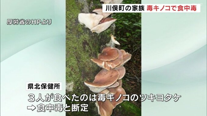 もらったキノコをバター炒めにしたら…毒キノコで食中毒　3人が下痢や嘔吐　福島|TBS NEWS DIG