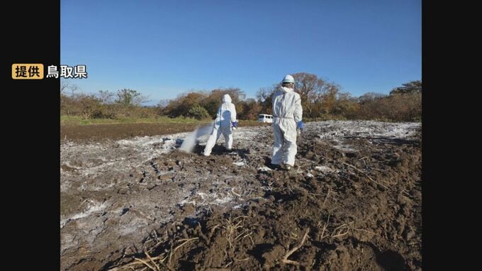 養鶏場での鳥インフルエンザ「防疫措置」完了　今後ニワトリ、卵など「搬出制限」「移動制限」解除へ　鳥取県米子市|TBS NEWS DIG