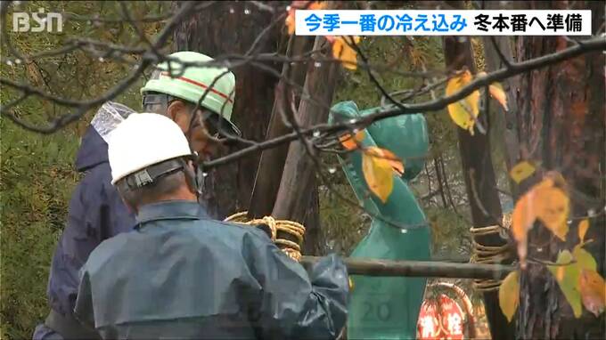 山沿いで最大25cmの降雪予想　高田城址公園ではブロンズ像の“冬囲い” 新潟県内は12月中旬の冷え込みに|TBS NEWS DIG