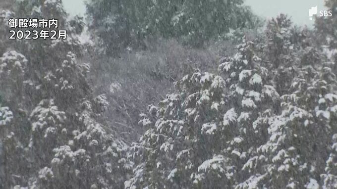 “雪に慣れていない静岡県民は特に警戒を”　山地を中心に大雪予想　東部では20センチの積雪の可能性＝静岡県|TBS NEWS DIG