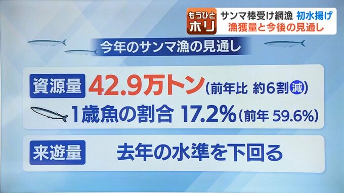 サンマの資源量と1歳魚の割合を示す解説フリップ