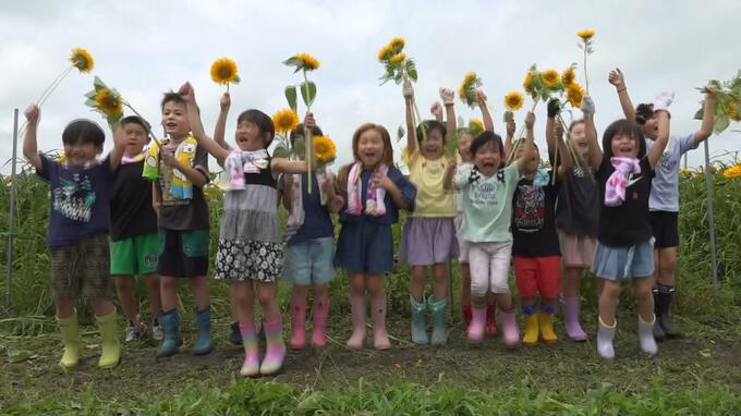 「夏が来るぞー！」園児たちヒマワリの刈り取り体験　青森県田舎館村　|　青森のニュース│ATV NEWS│青森テレビ