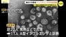 「ここ10年で最も早い」県内初　広島市内の学校でインフルエンザによる学級閉鎖　早めに本格的流行シーズン迎えると予想　|　RCC NEWS | 広島ニュース | RCC中国放送