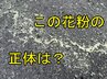 「６月まで飛ぶ花粉」とは？アレルギーの恐れは少ないものの汚れが目立つことも　tbc気象台　|　宮城のニュース│tbc NEWS│tbc東北放送