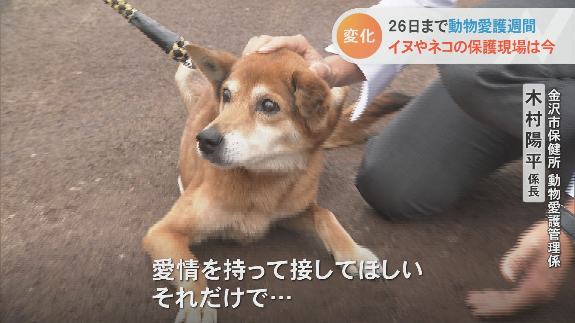 殺処分している”と子どもに言えない」イヌ・ネコ“殺処分ゼロ”5年継続の保護現場の今 | TBS NEWS DIG | Cheriee NEWS