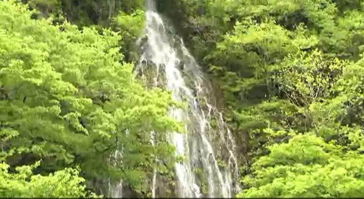 中村左洲　 滝の風景 滝画像あり】年に1度しか見られない！！【幻の滝】信州・木島平村「樽
